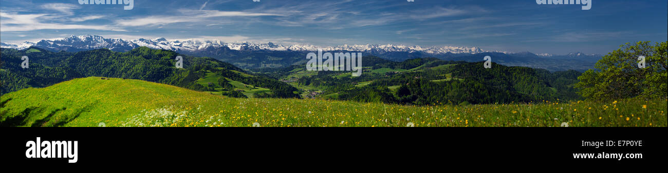 Zurich uplands, look, Hörnli, Bernese Alps, mountain, mountains, canton Zurich, Switzerland, Europe, Stock Photo