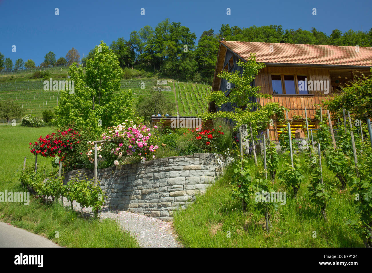 houses, homes, Wienacht-Tobel, canton, Appenzell, Ausserrhoden, Lutzenberg, Switzerland, Europe, Stock Photo