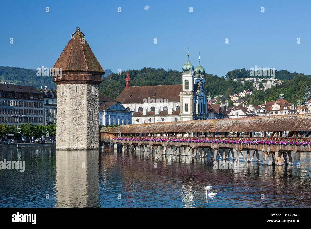 world heritage, Lucerne, Switzerland, Europe, architecture, bridge, chapel, city, famous, lake, cityscape, Pilatus, spring, swan Stock Photo