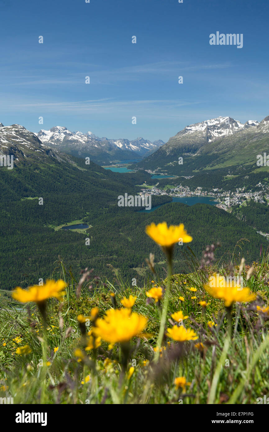 Engadin, Engadine, look, Muottas Muragl, Upper Engadine, canton, GR, Graubünden, Grisons, Upper Engadine, Switzerland, Europe, Stock Photo