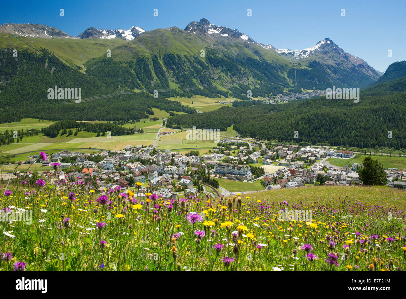 Engadin, Engadine, Celerina, GR, canton, Graubünden, Grisons, Upper Engadine, summer, village, flower, flowers, Switzerland, Eur Stock Photo