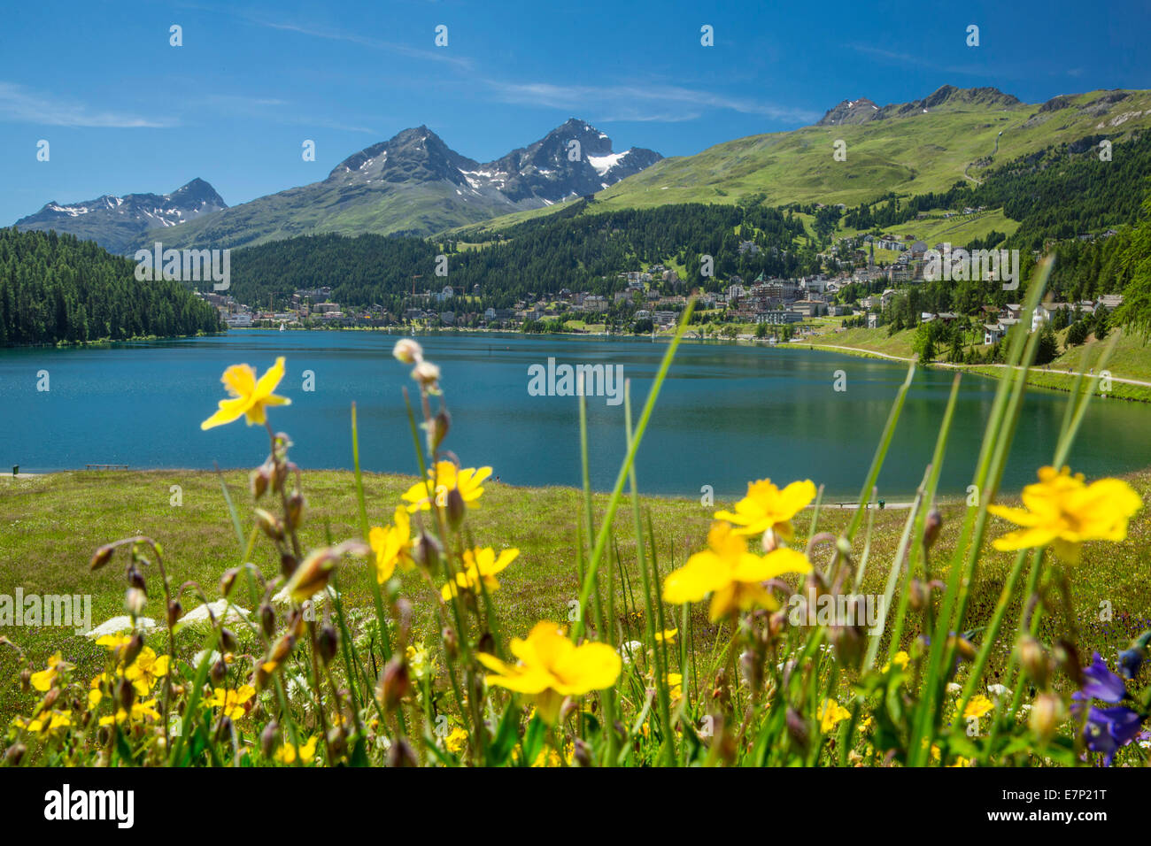 Engadin, Engadine, Saint Moritz, St. Moritzersee, Saint Moritz, St. Moritz, GR, mountain lake, canton, GR, Graubünden, Grisons, Stock Photo