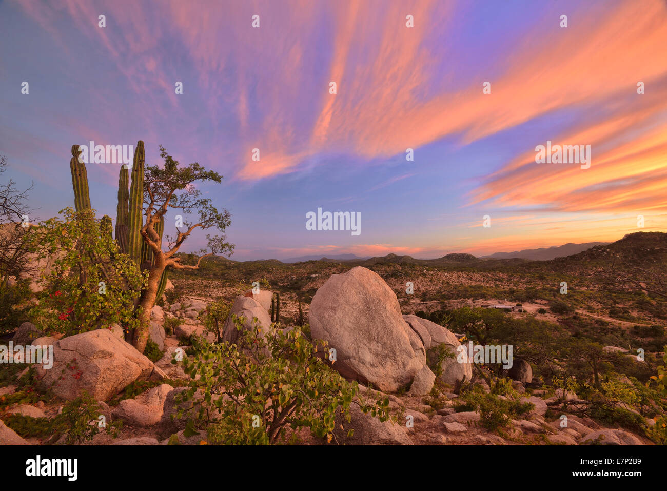 Mexico, North America, Baja, Baja California, La Ventana, desert Stock  Photo - Alamy