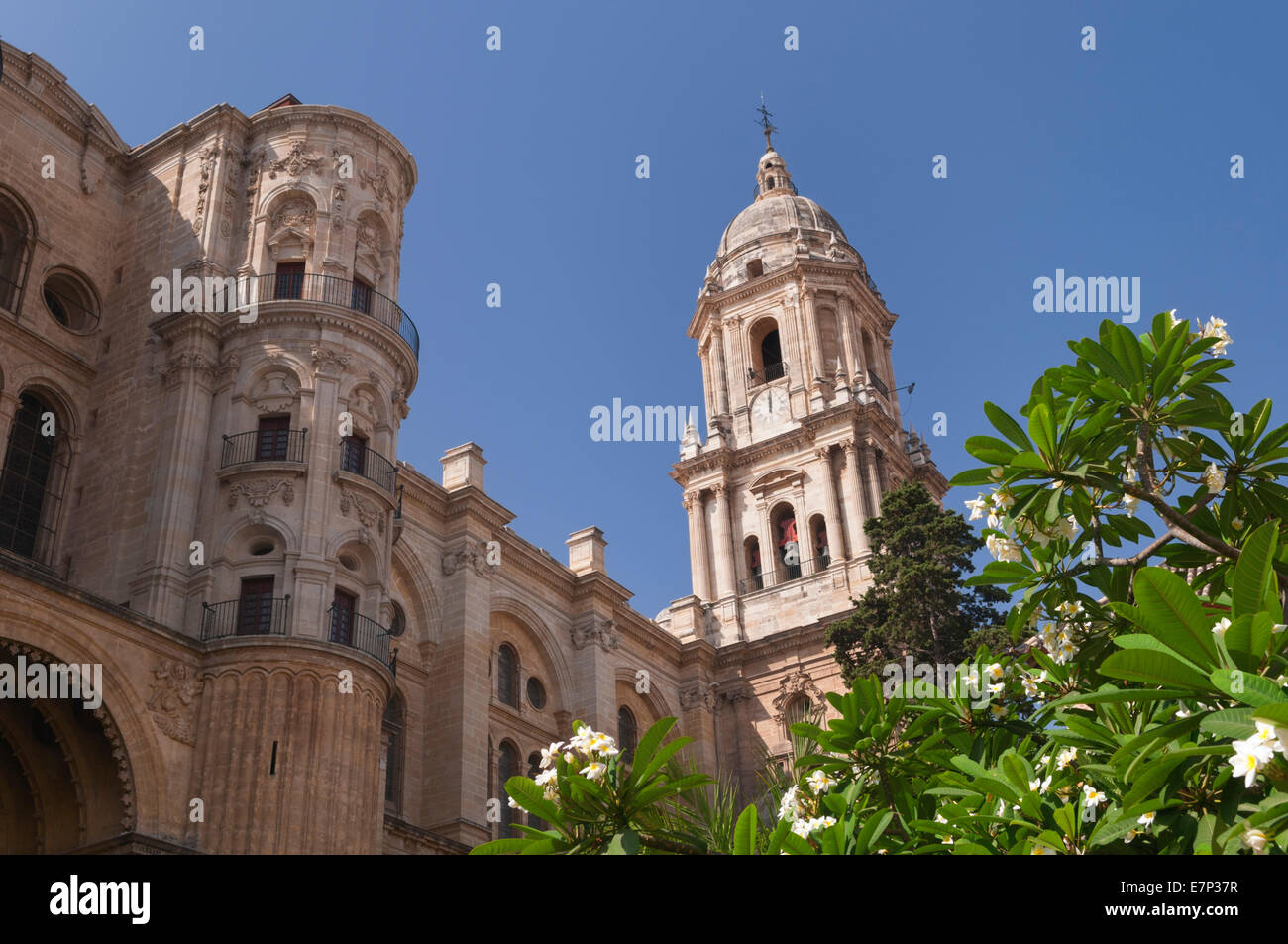 Malaga Cathedral Malaga Andalusia Spain Stock Photo