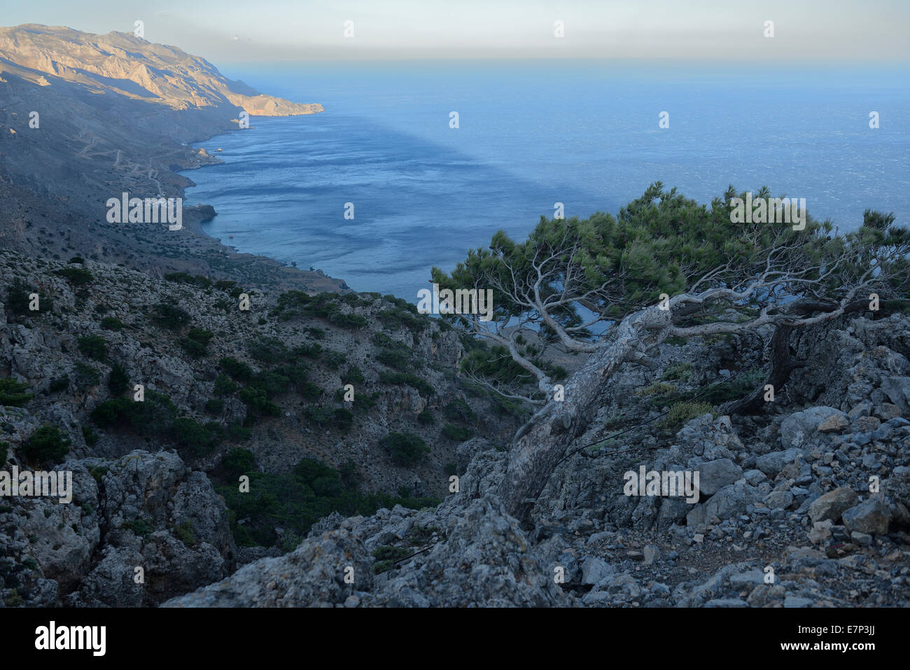 Europe, Greece, Greek, Crete, Mediterranean, island, Coast, Tris Ekklisies, coast, rugged, landscape, tree Stock Photo
