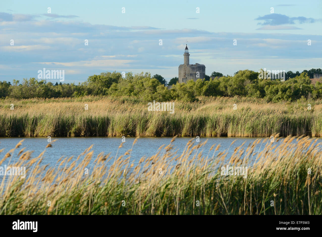 Europe, France, Languedoc- Roussillon, Camargue, Aigues-Mortes, walled, city, medieval, tower, wetland Stock Photo