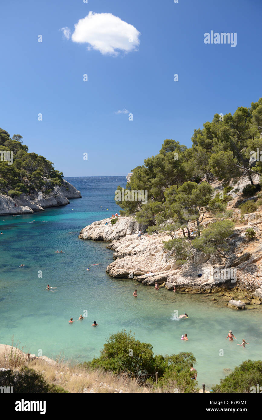 Europe, France, Provence-Alpes-Côte d'Azur, Provence, Cassis, Calanque, Port Pin, bay, Mediterranean, coast, inlet, beach Stock Photo
