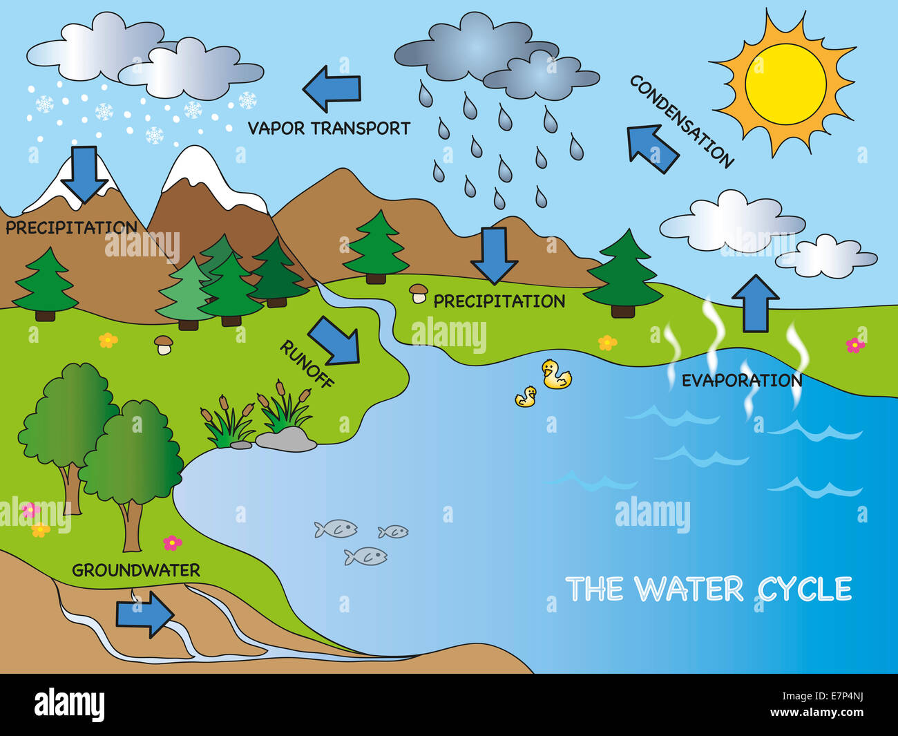 water cycle diagram for class 8