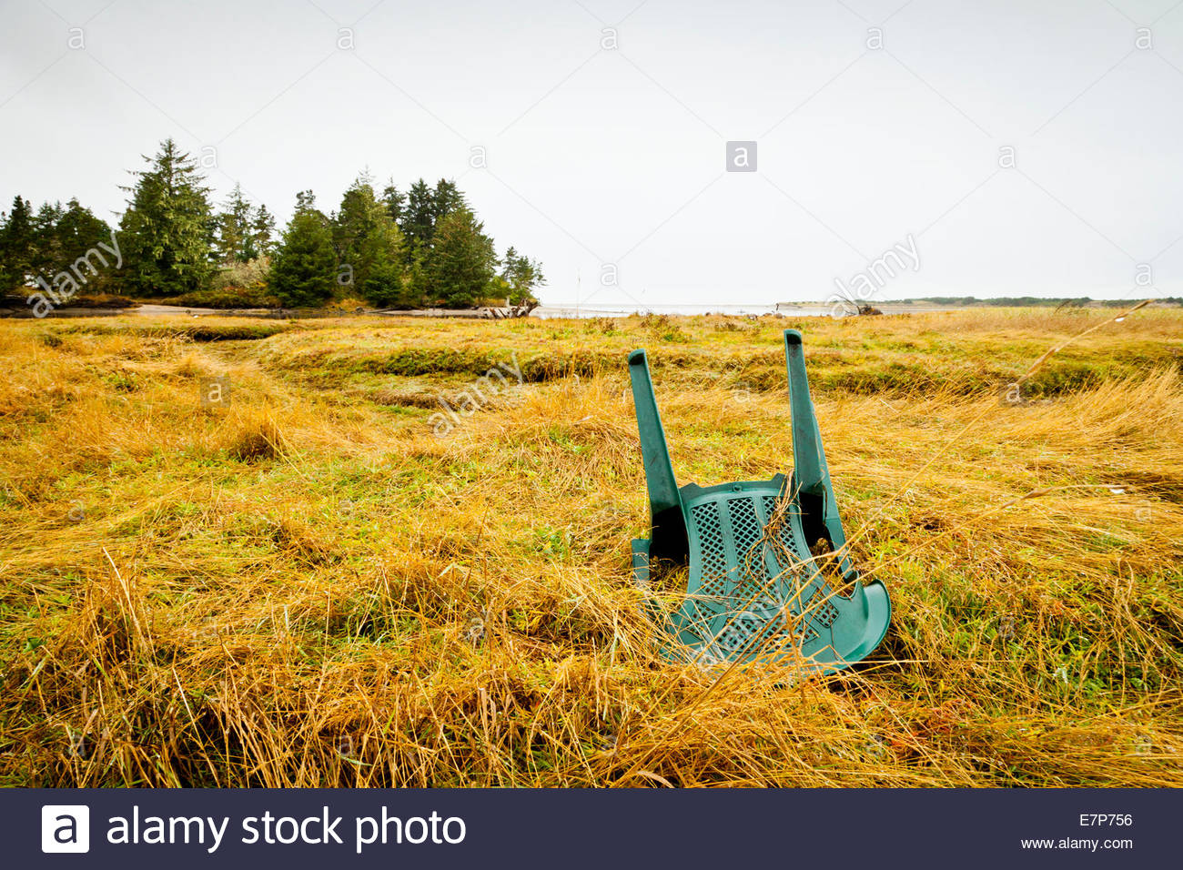 An Upturned Chair Spoils The Tidal Marshland Of Neawanna