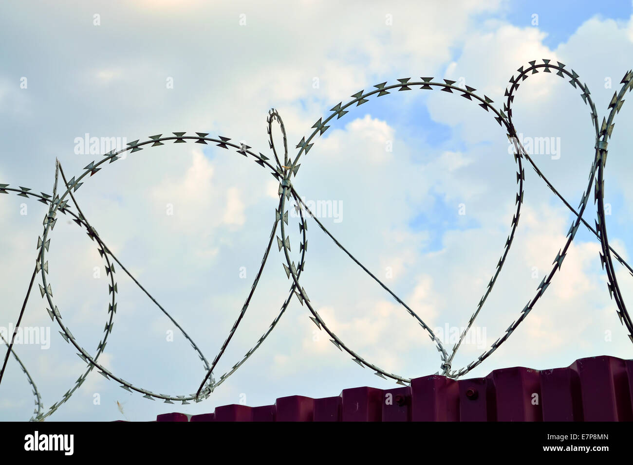 Barbed wire close up Stock Photo Alamy