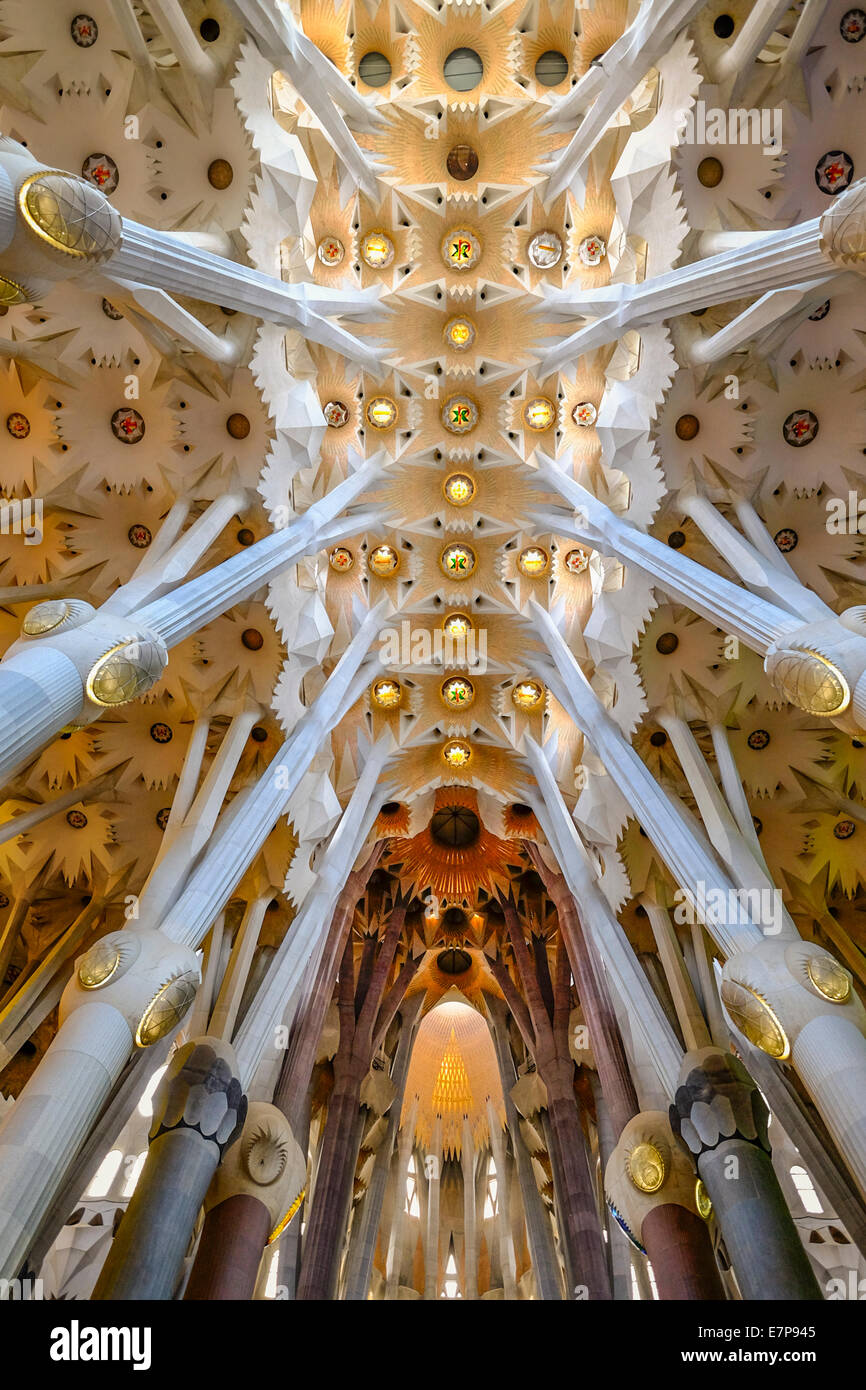 Sagrada Familia Church Interior