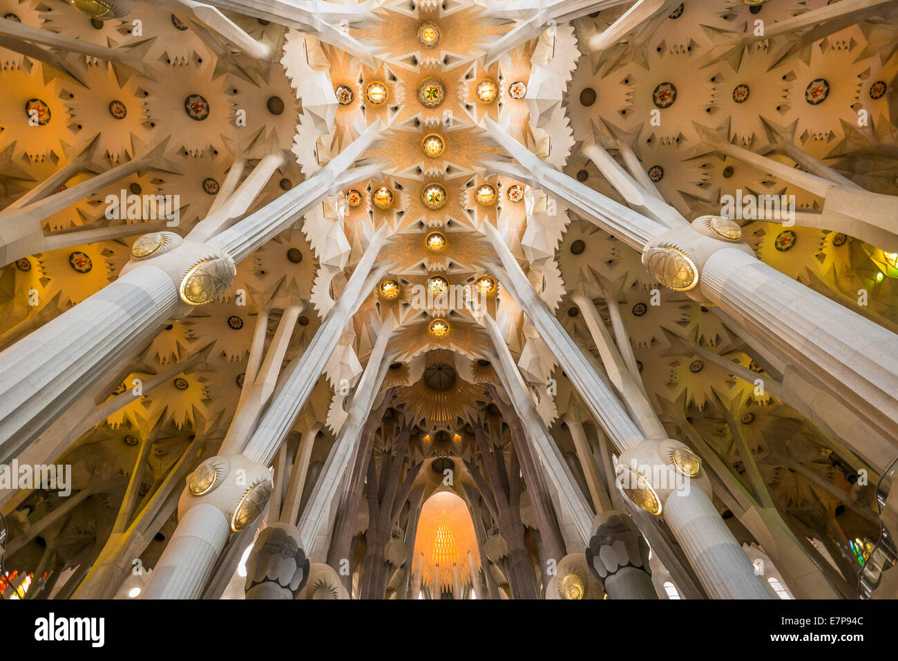 Sagrada familia columns hi-res stock photography and images - Alamy