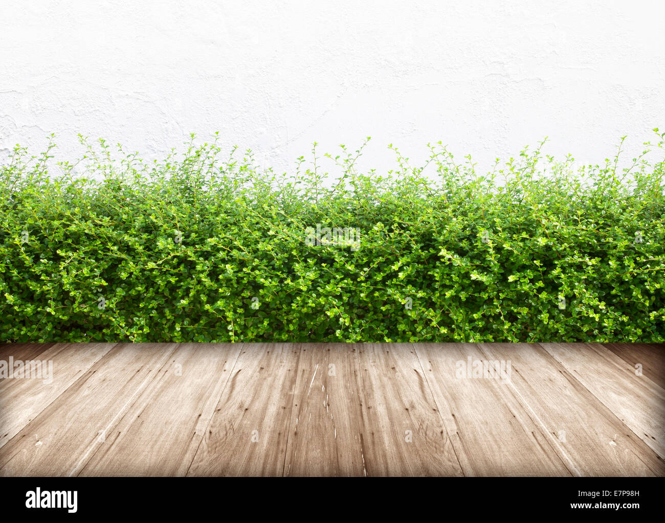 Old wall and green grass on wood floor background Stock Photo - Alamy