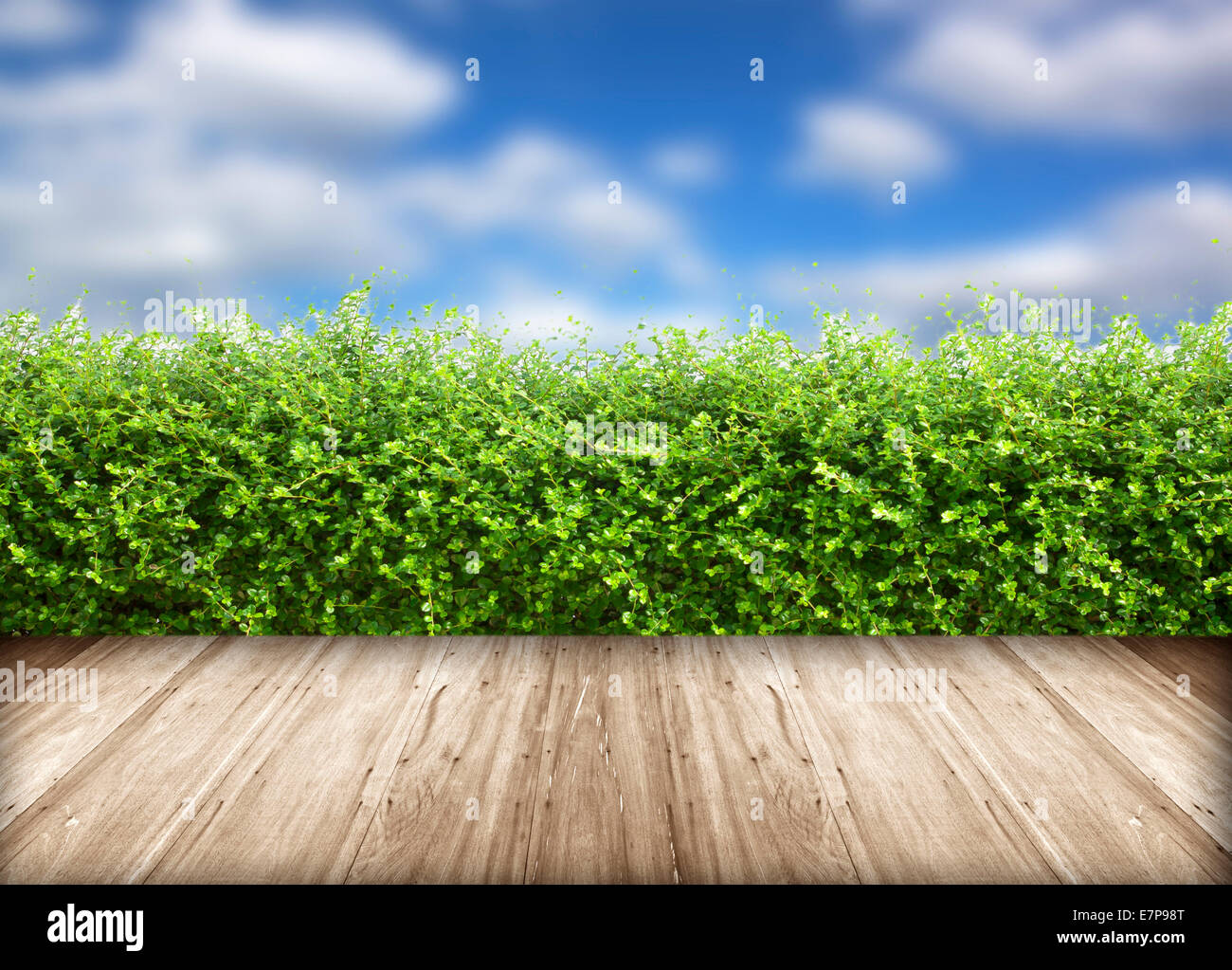 Fresh spring green grass with blue sky and wood floor background Stock ...