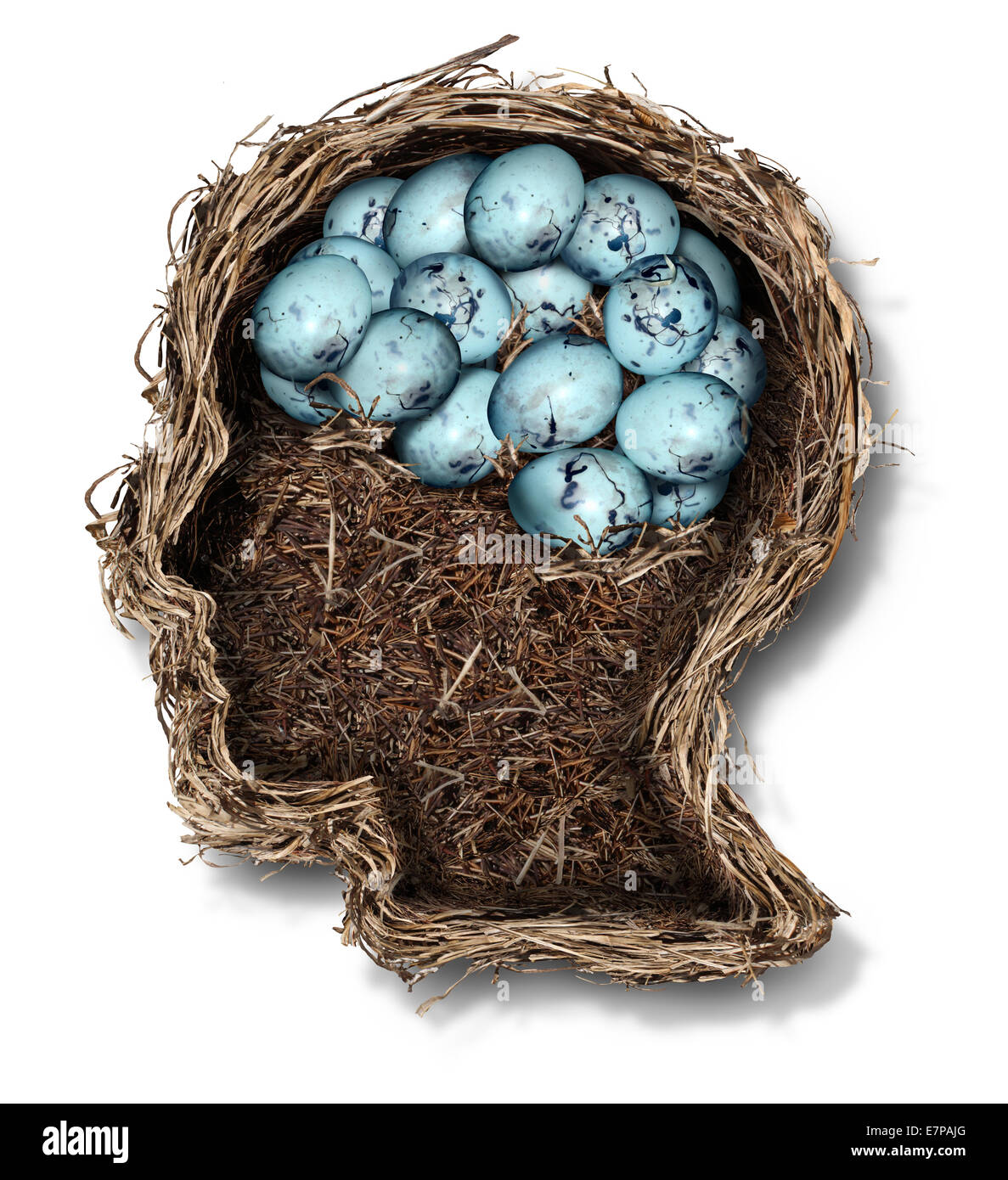 Protecting the brain mental health concept as a bird nest shaped as a human head and face with a group of eggs in the shape of the thinking organ as a medical metaphor for the fragility of neurology and intelligence. Stock Photo