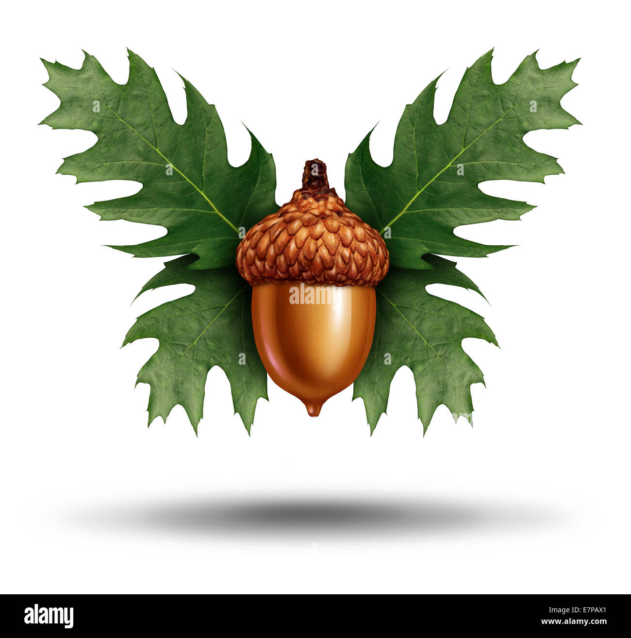 Savings investment freedom as an acorn flying up using leaves shaped as butterfly wings as a financial business symbol for future wealth growth success or growing your saved money. Stock Photo