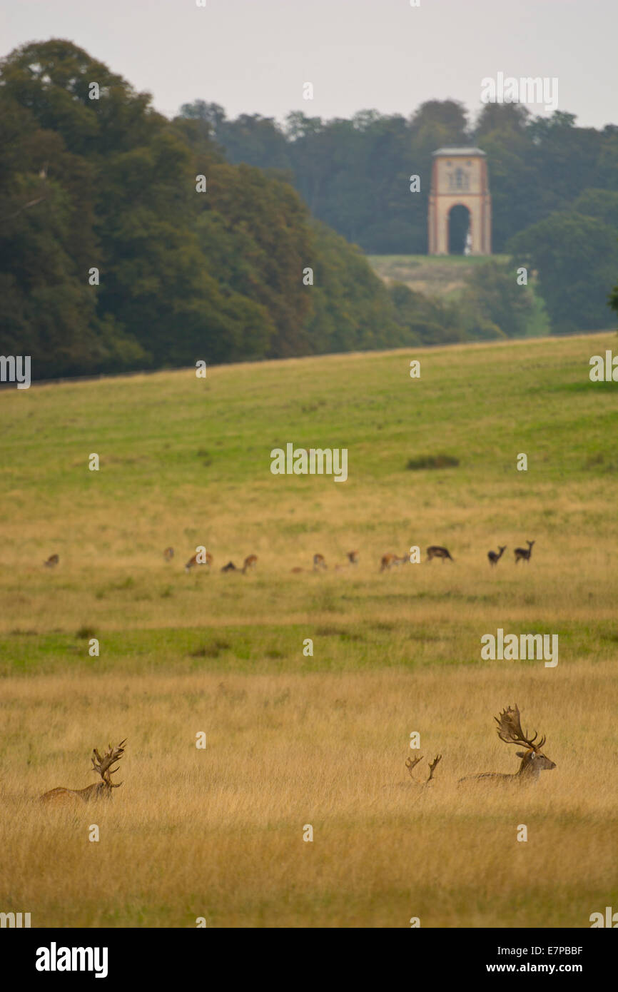 deer park Stock Photo Alamy