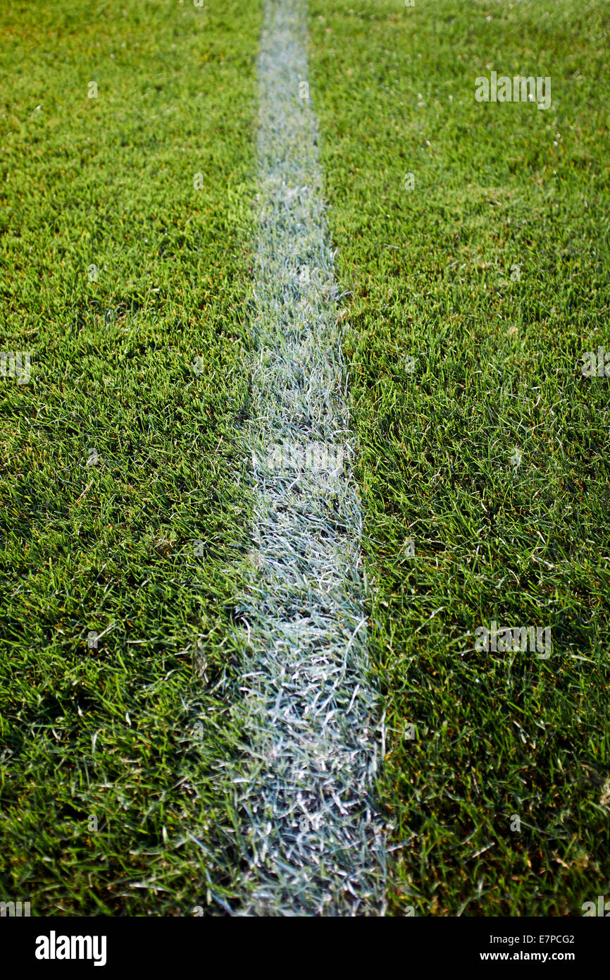 White Line Painted On Grass. Stock Photo