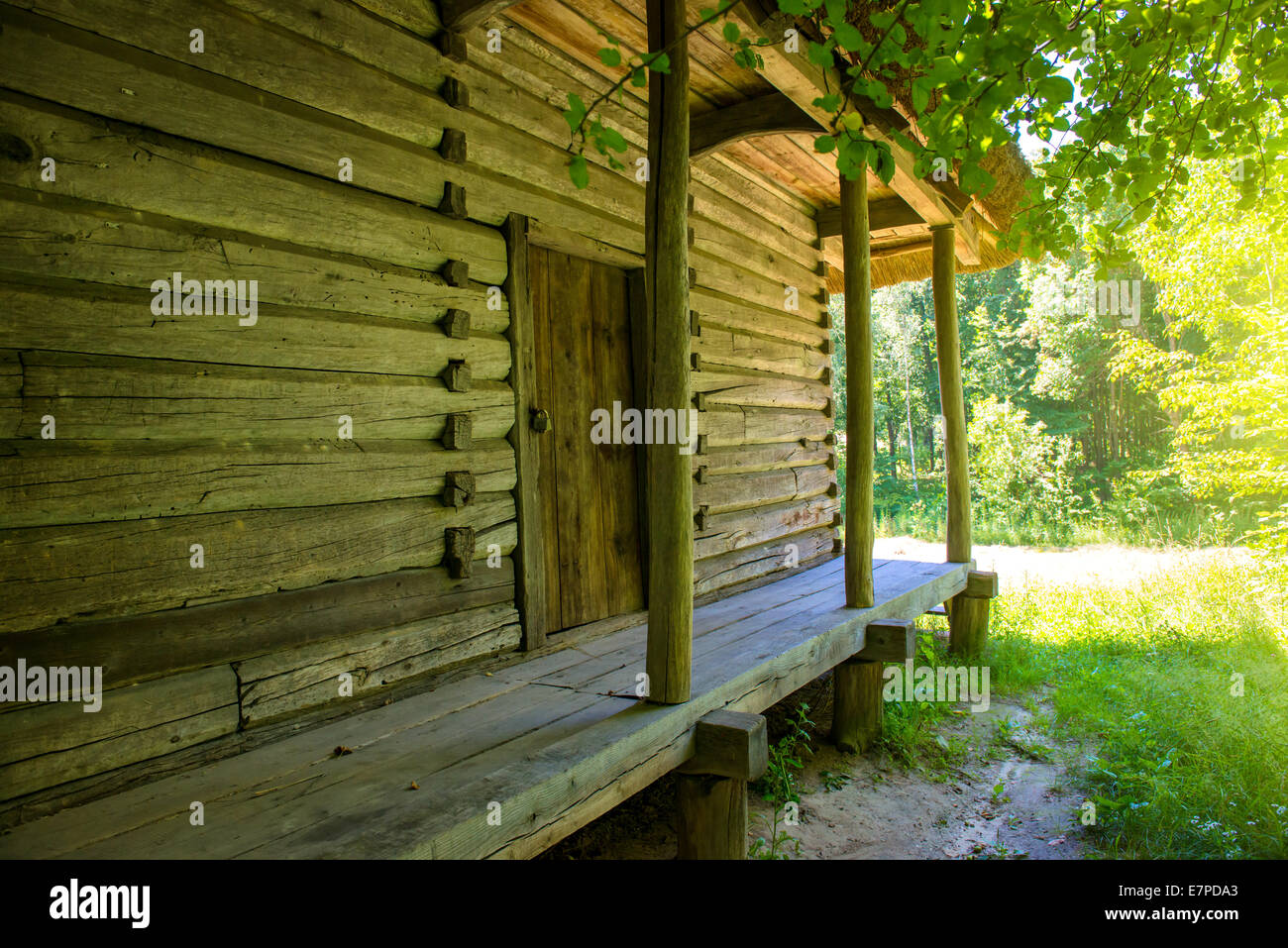 Old wooden house in the green forest Stock Photo - Alamy