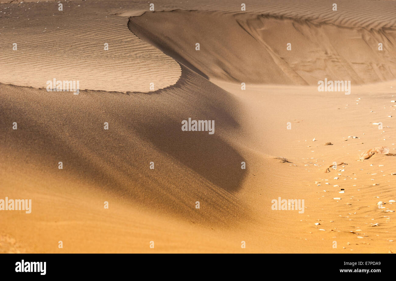 Souss Masa National Park Stock Photo Alamy