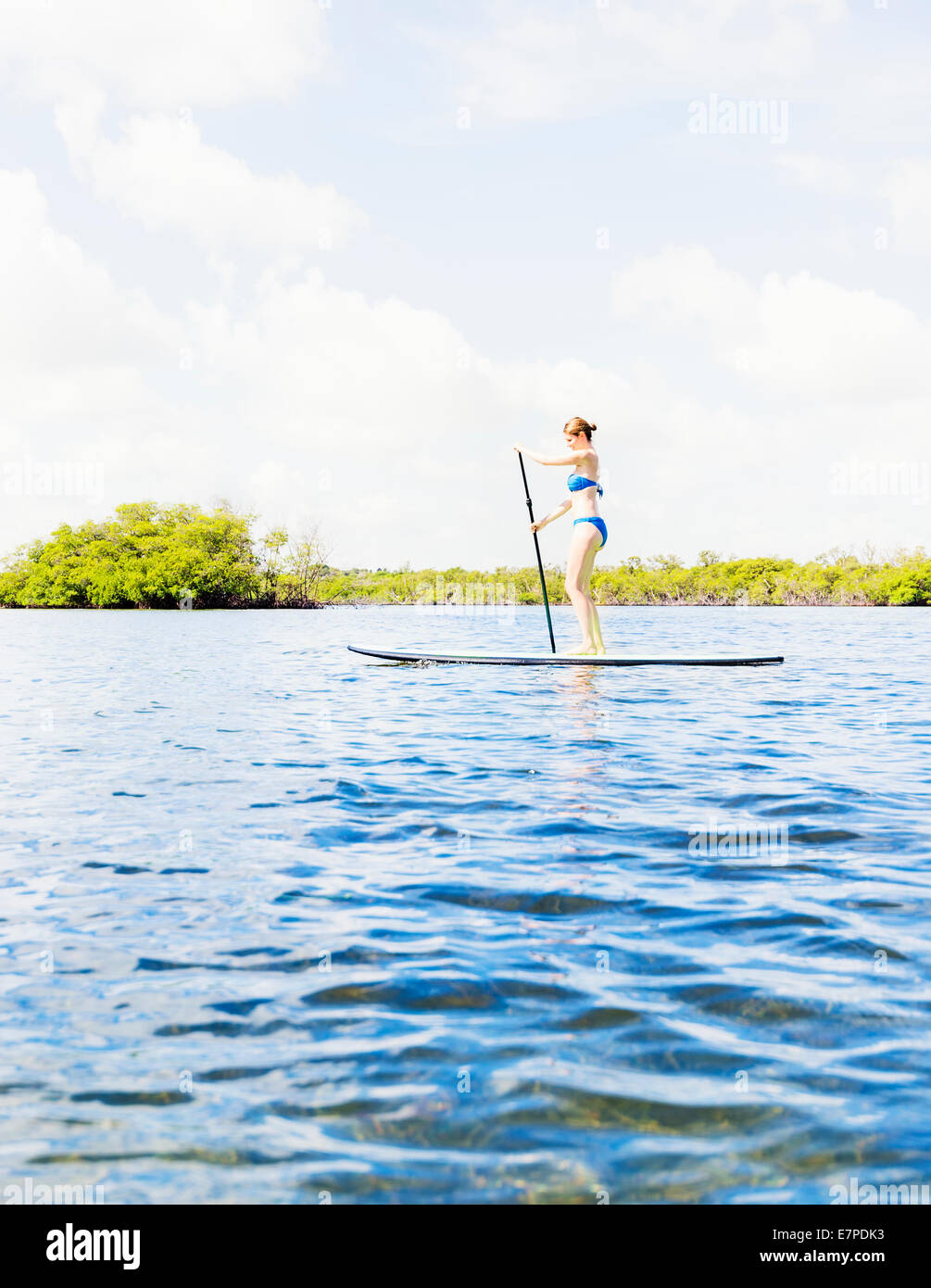 USA, Florida, Jupiter, Woman on paddle board Stock Photo Alamy