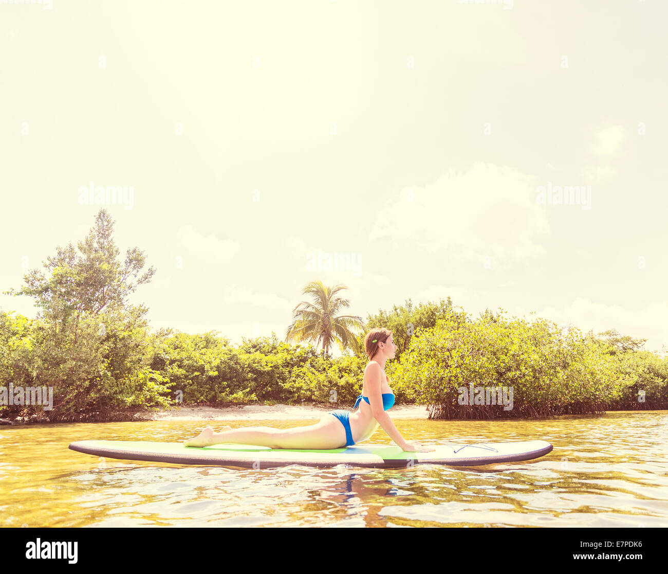 USA, Florida, Jupiter, Woman on paddle board Stock Photo Alamy