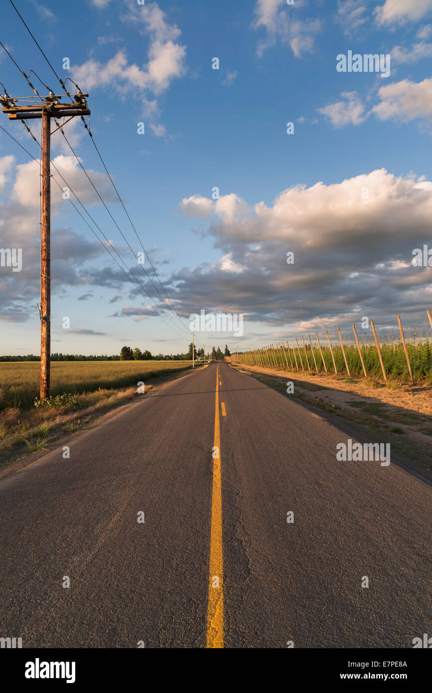 USA, Oregon, Marion County, Empty road in diminishing perspective Stock Photo