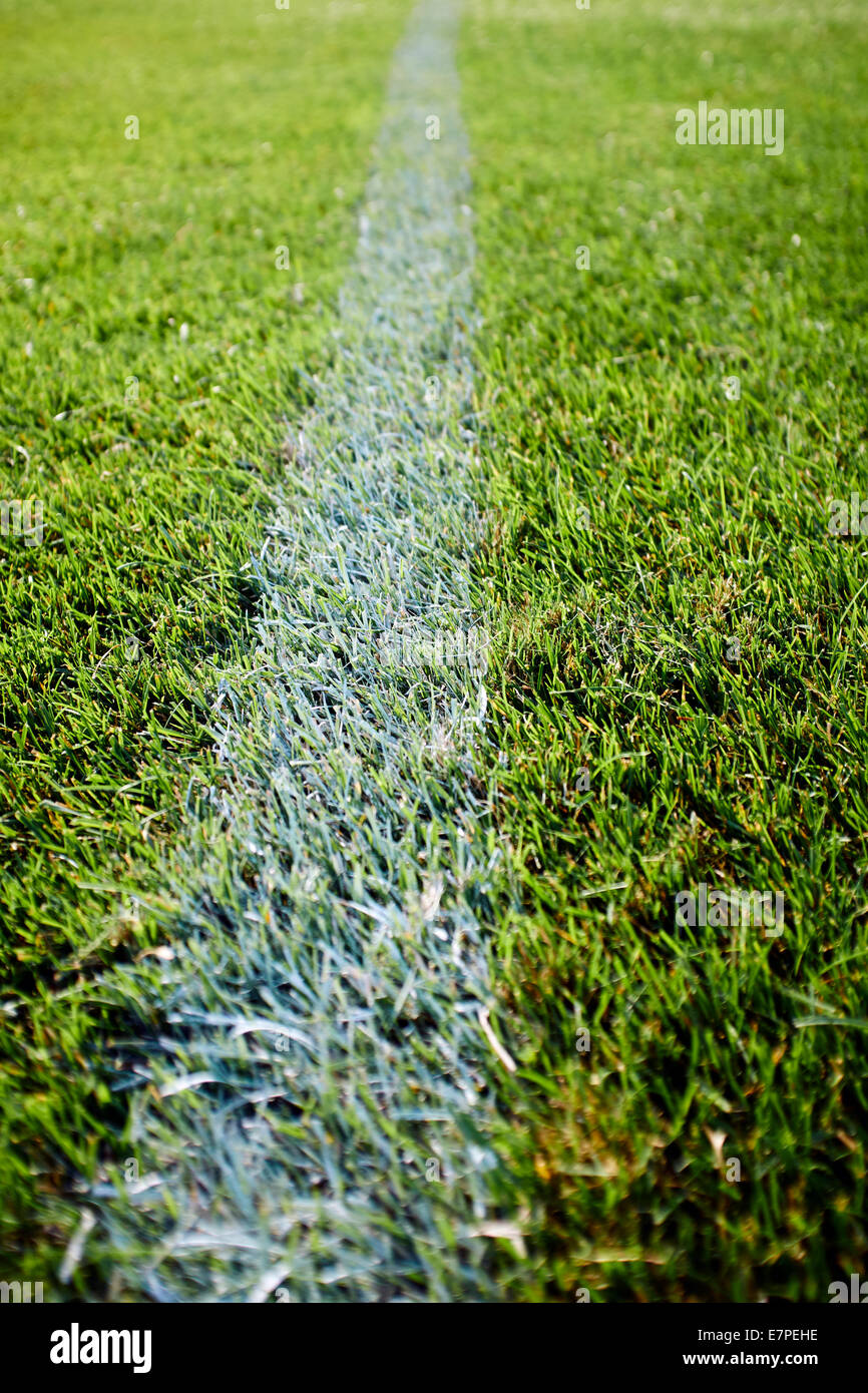 White Line Painted On Grass. Stock Photo