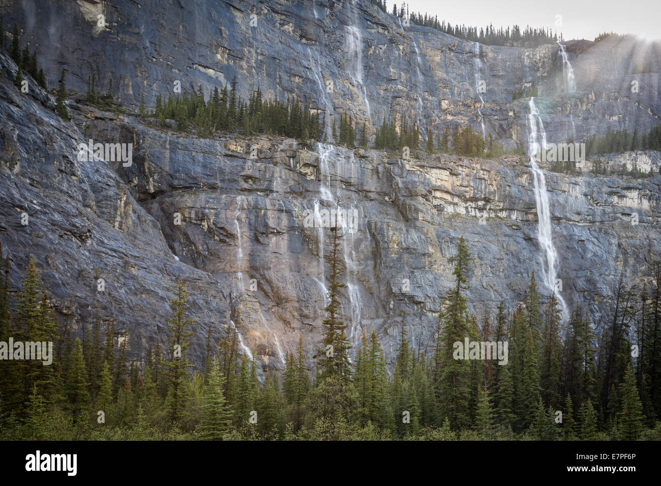 Weeping Wall, Icefields Parkway, Banff National Park, Alberta, Canada, North America. Stock Photo