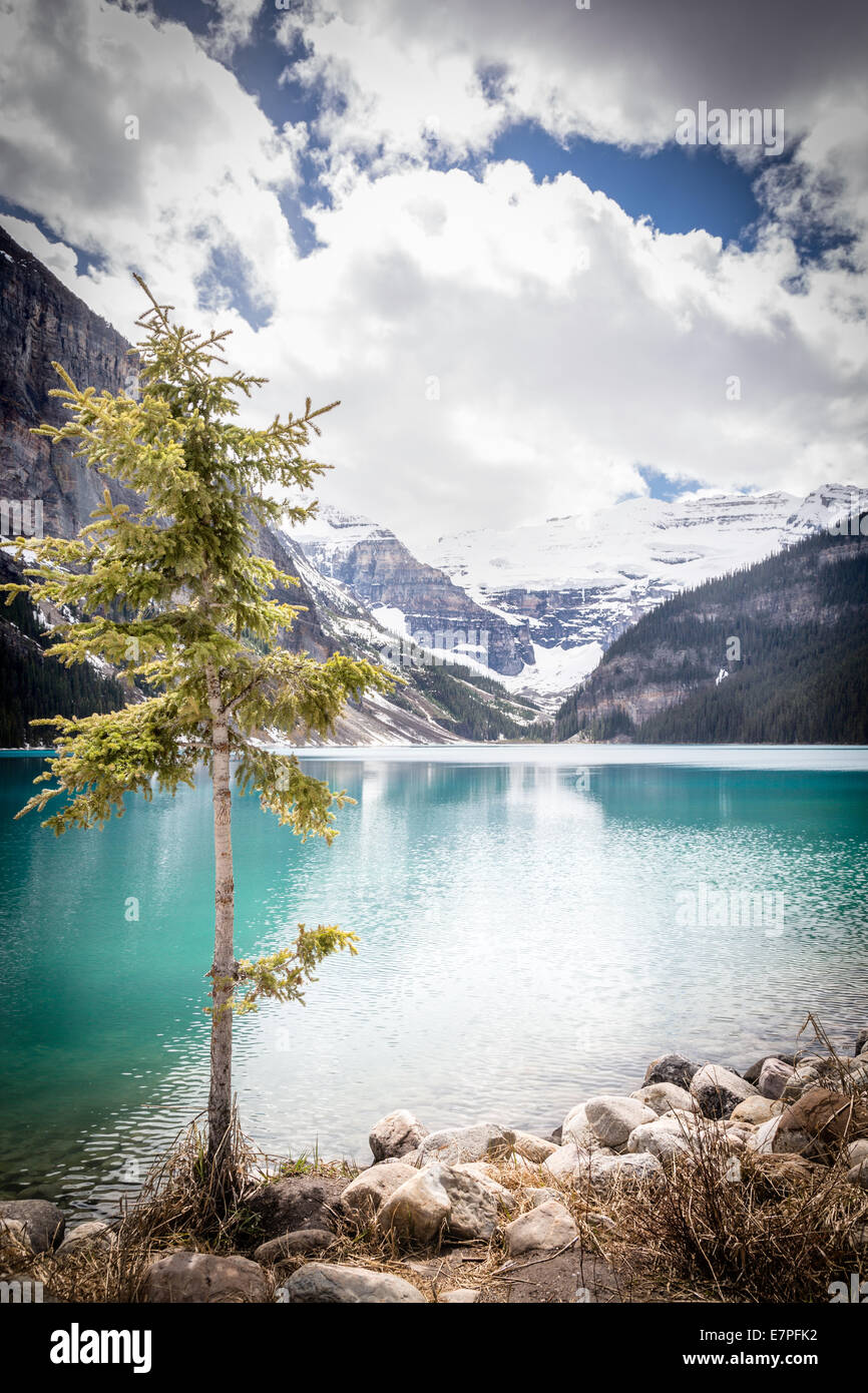 Lake Louise, Banff National Park, Alberta, Canada, North America. Stock Photo