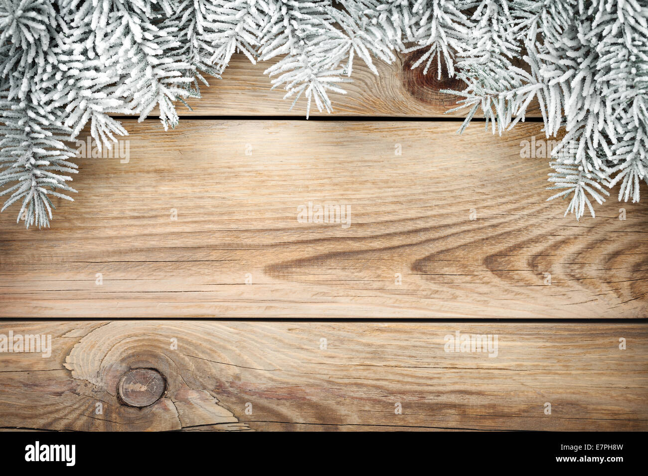 Christmas background with spruce tree covered with snow. Copy space ...