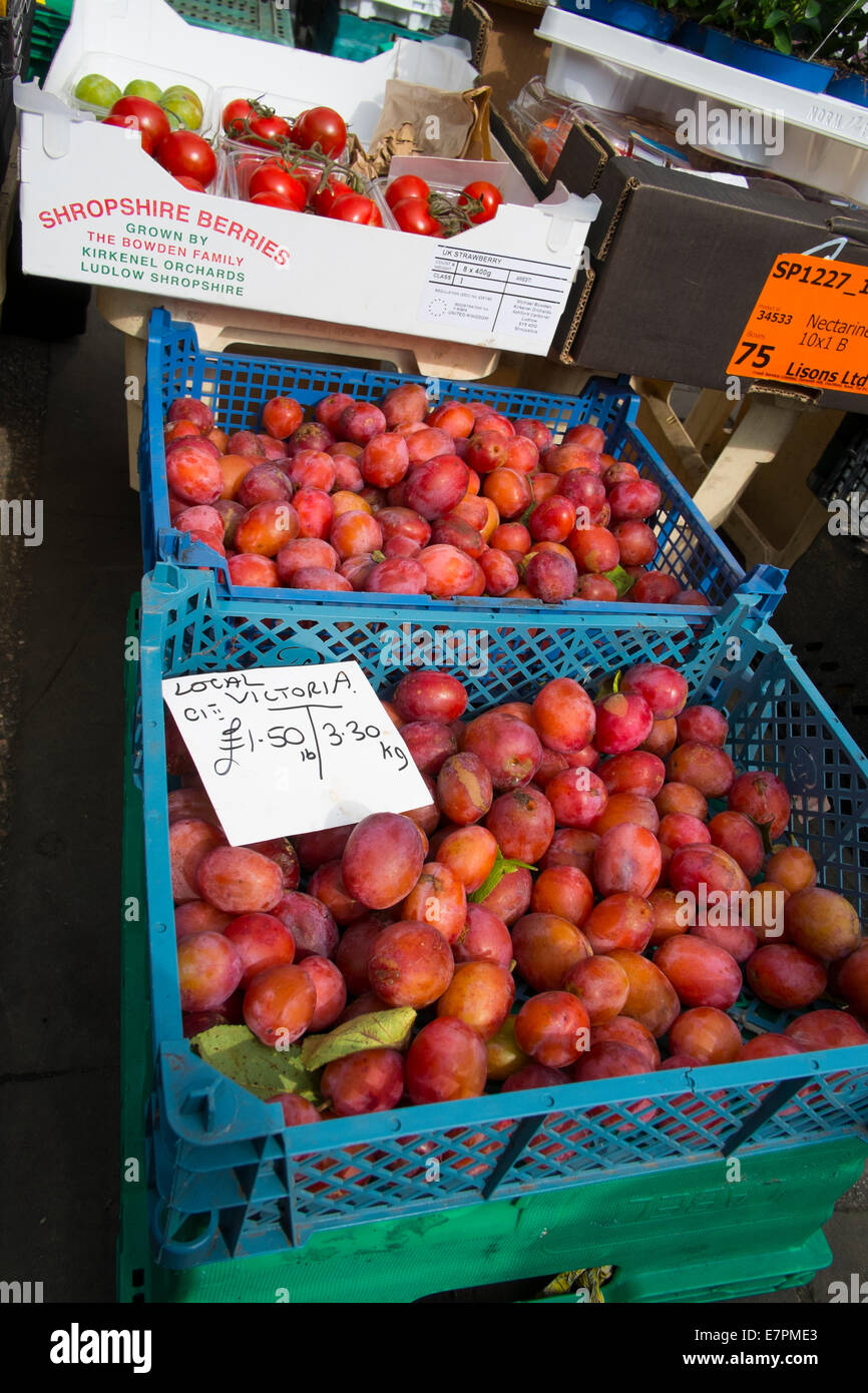 Local victoria plums on sale at a Ludlow market, Shropshire, England