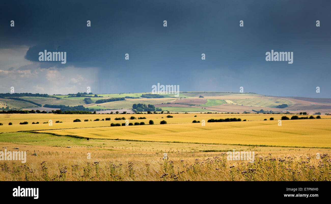 Corn rain cloud uk hi-res stock photography and images - Alamy