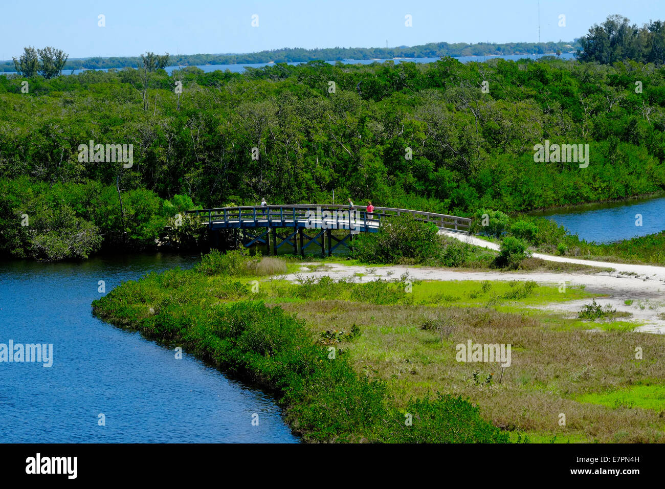 Walking Trail Boardwalk Robinson Preserve Nature Bradenton Florida FL