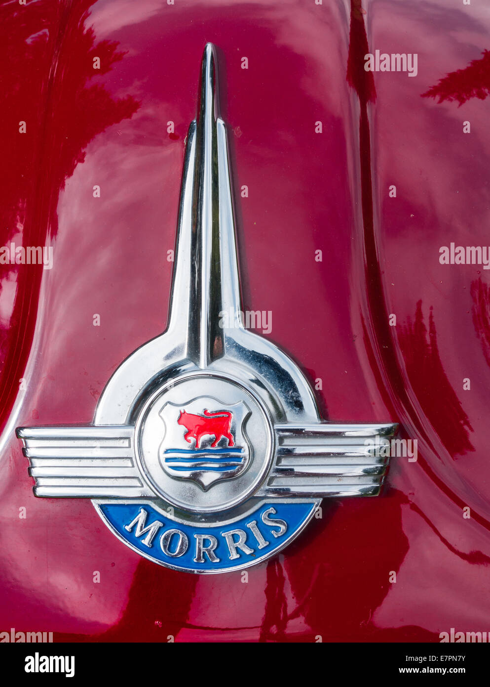 Morris badge on a classic Morris Minor car UK Stock Photo Alamy