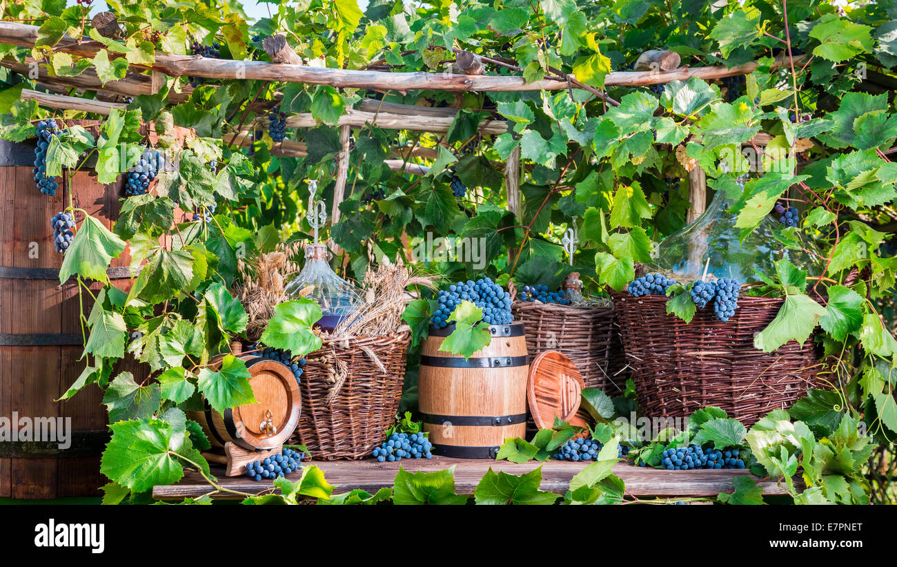 Old fashioned demijohn hi-res stock photography and images - Alamy