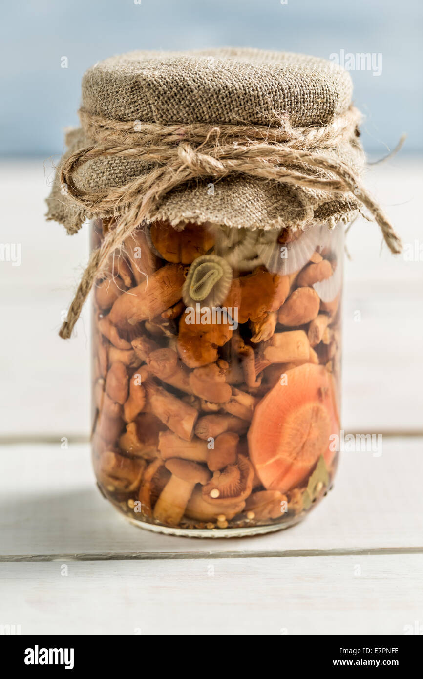 Wild mushrooms in a jar Stock Photo Alamy