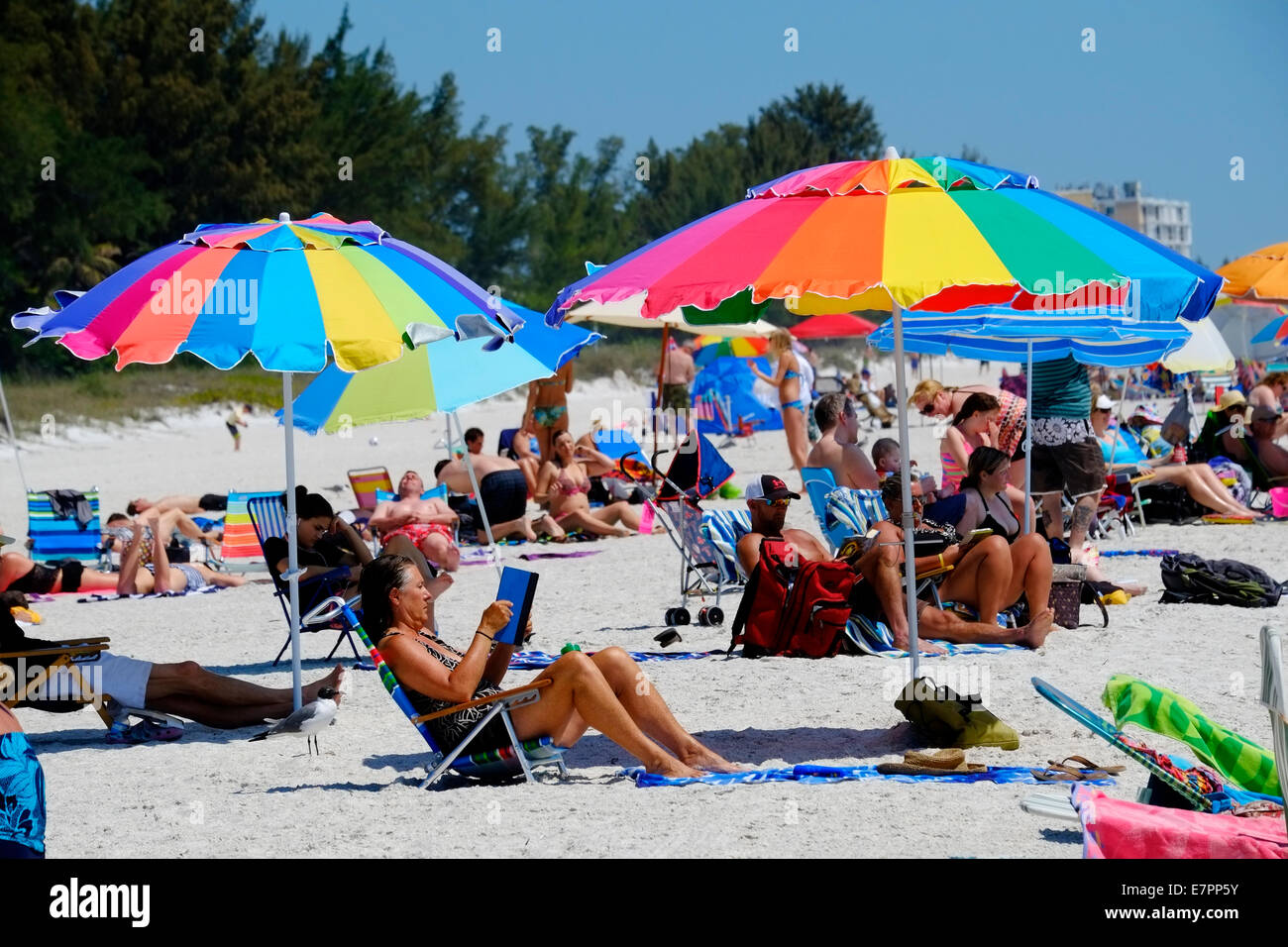 Spring Break Crowd Anna Maria Island Holmes Beach Bradenton Fl Florida