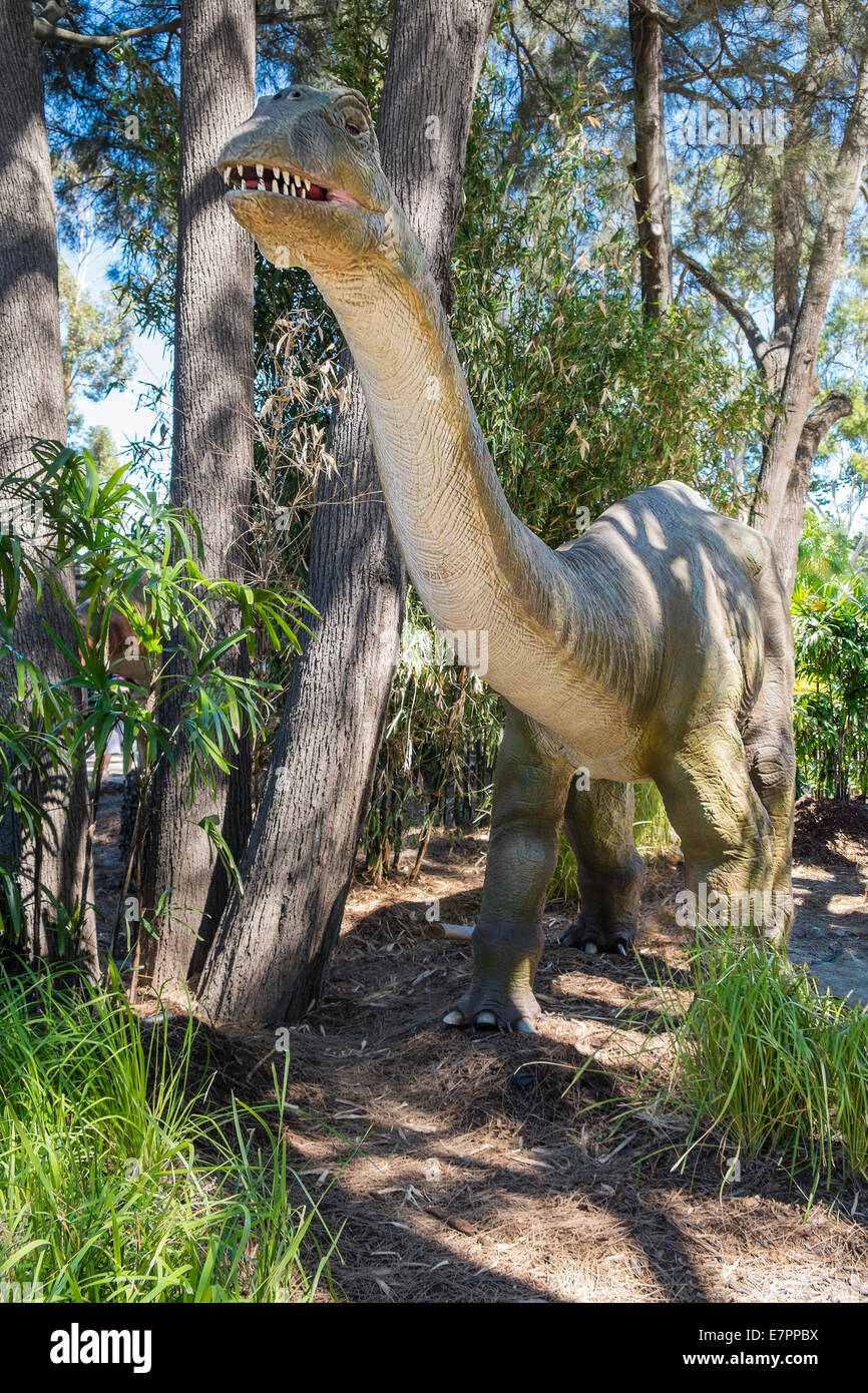 Life size Apatosaurus dinosaur figures prowl the forest Stock Photo