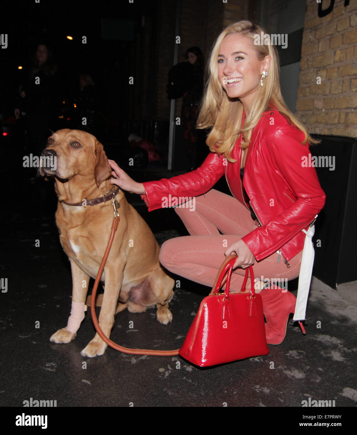 The Company of Dogs Pet Portrait Exhibition -Outside Arrivals