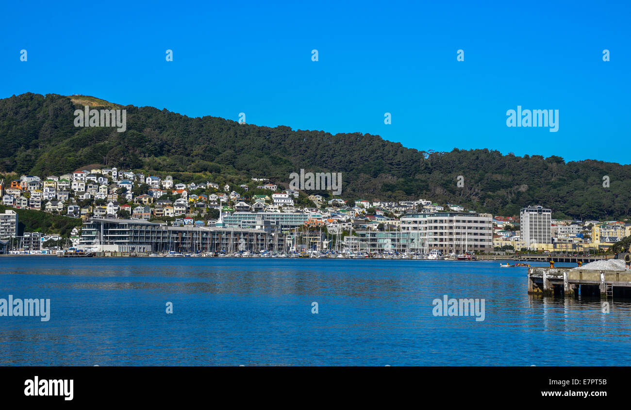 harbour bay city view Wellington skyline Stock Photo Alamy