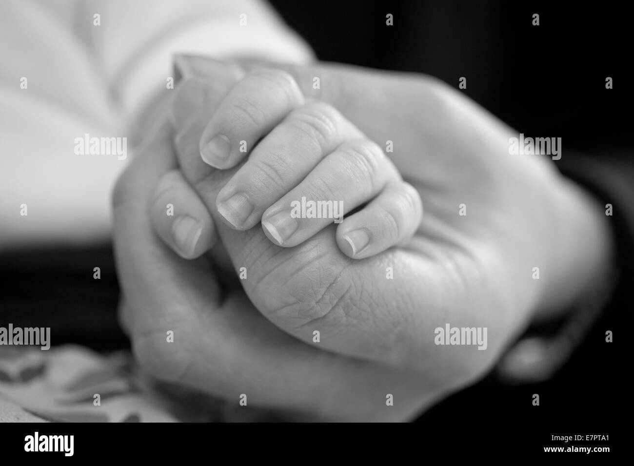 Young baby holding parents finger Stock Photo