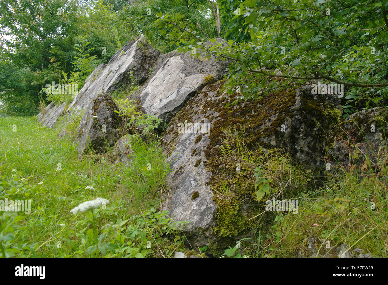 ruins of the fort Zniesienie in Przemysl Poland Stock Photo