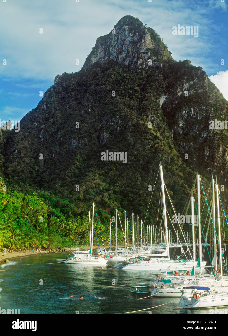 Sailboats and yachts moored at  Margretoute Bay below Petit Piton mountain on  St. Lucia Island in West Indies Stock Photo