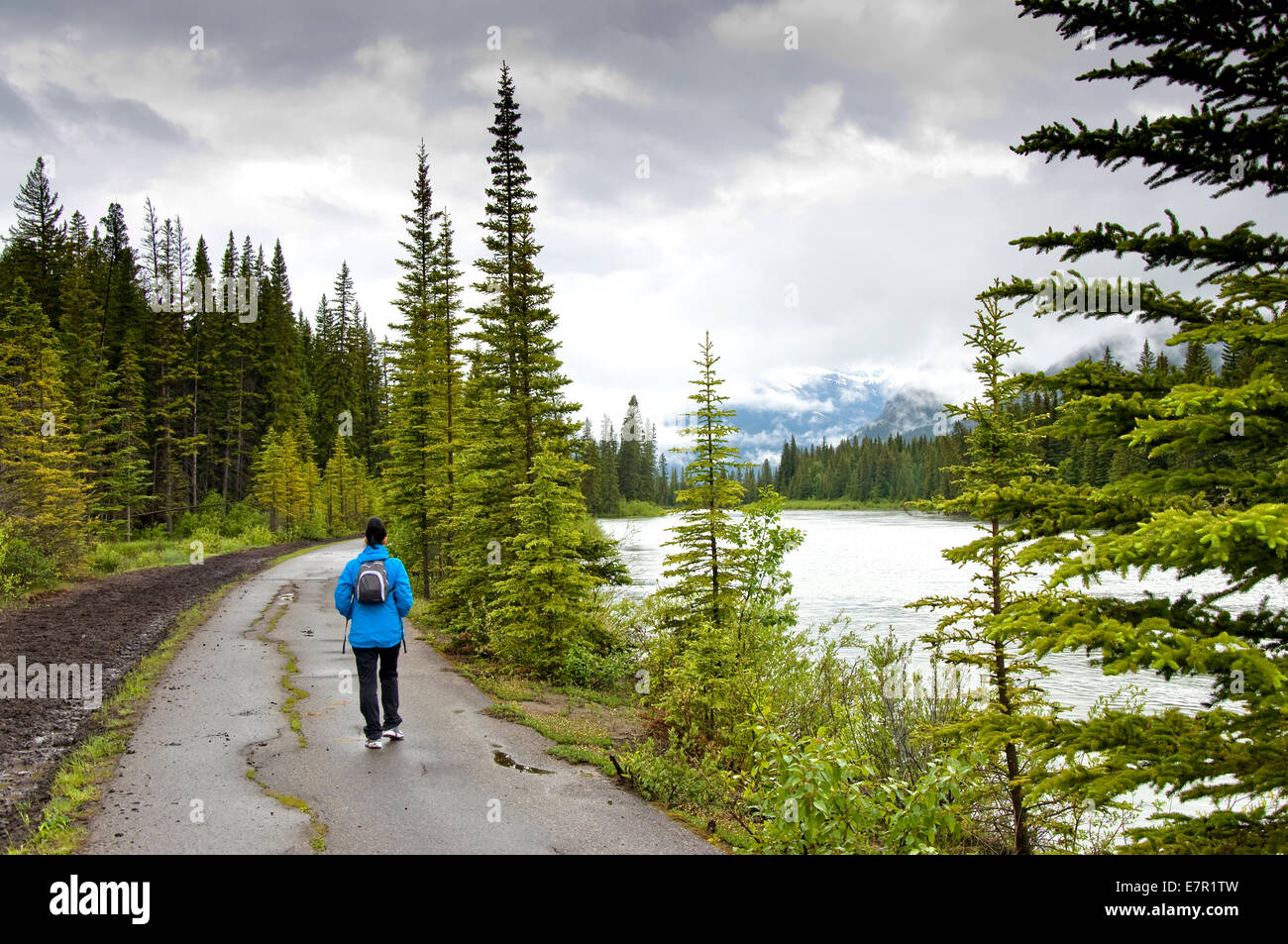 The Bow River, Cave and Basin Trail, Banff, Alberta, Canada Stock Photo Alamy