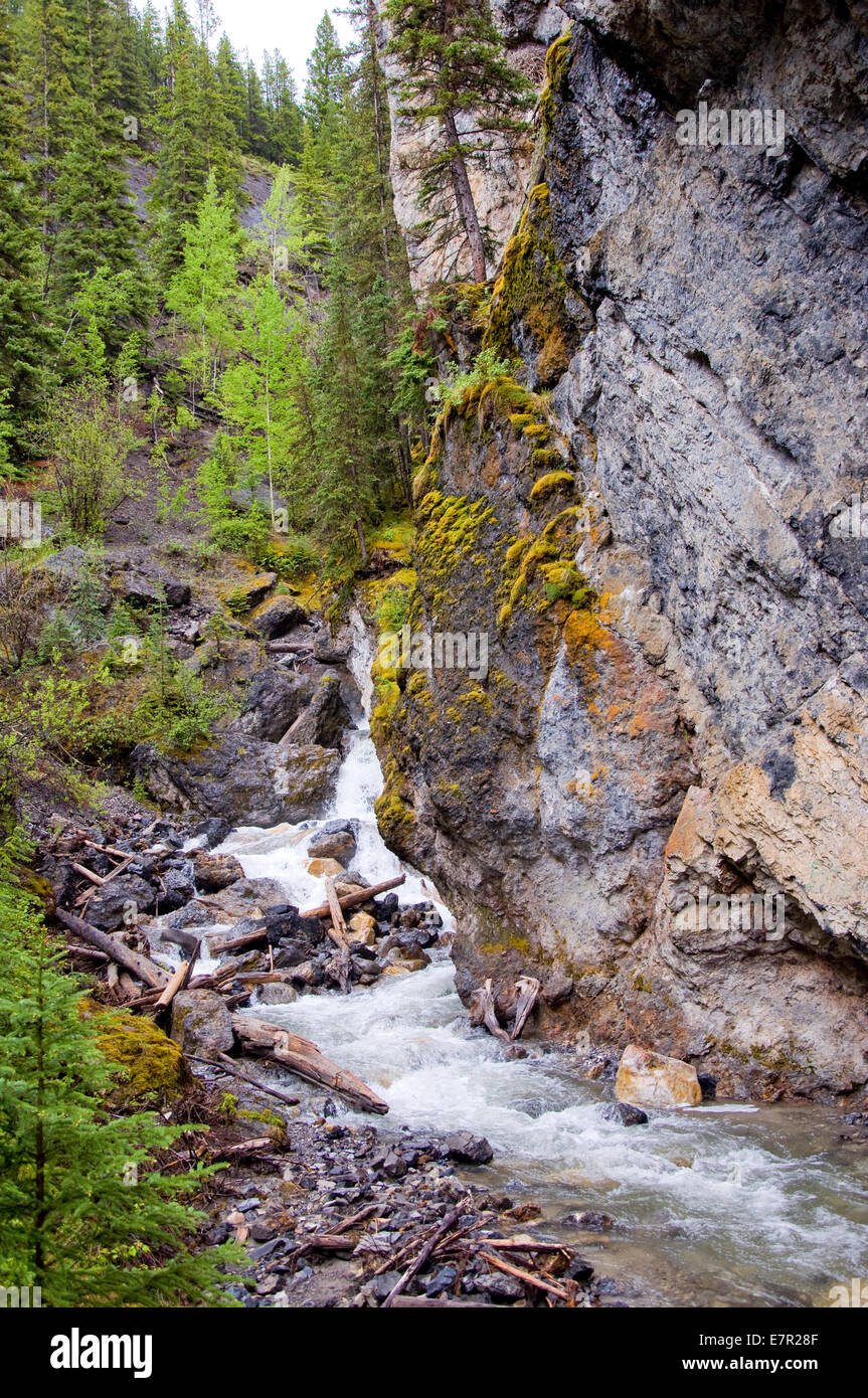 Sundance Canyon, Cave Basin Trail, Banff, Alberta, Canada Stock Photo Alamy