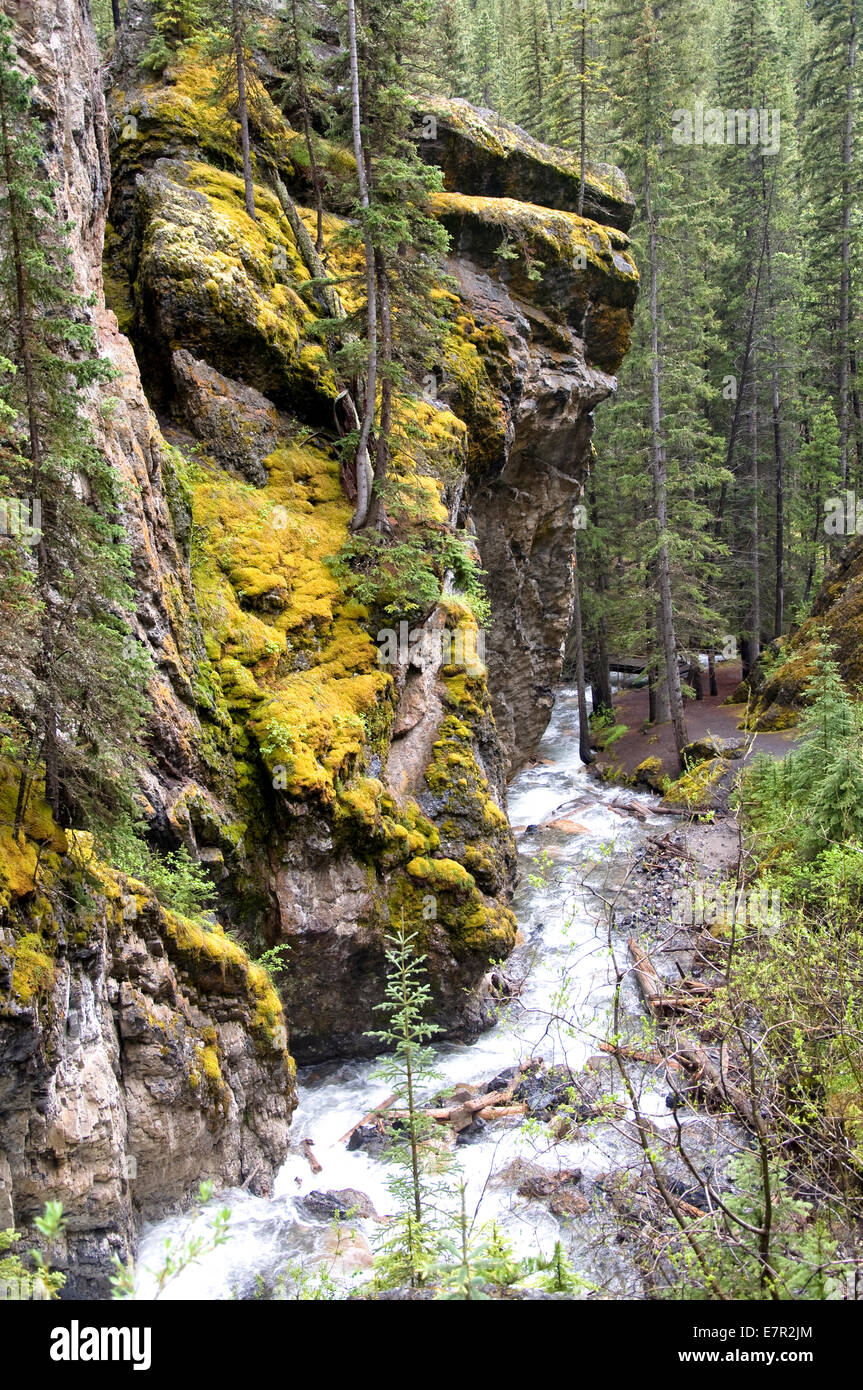 Sundance Canyon, Cave Basin Trail, Banff, Alberta, Canada Stock Photo