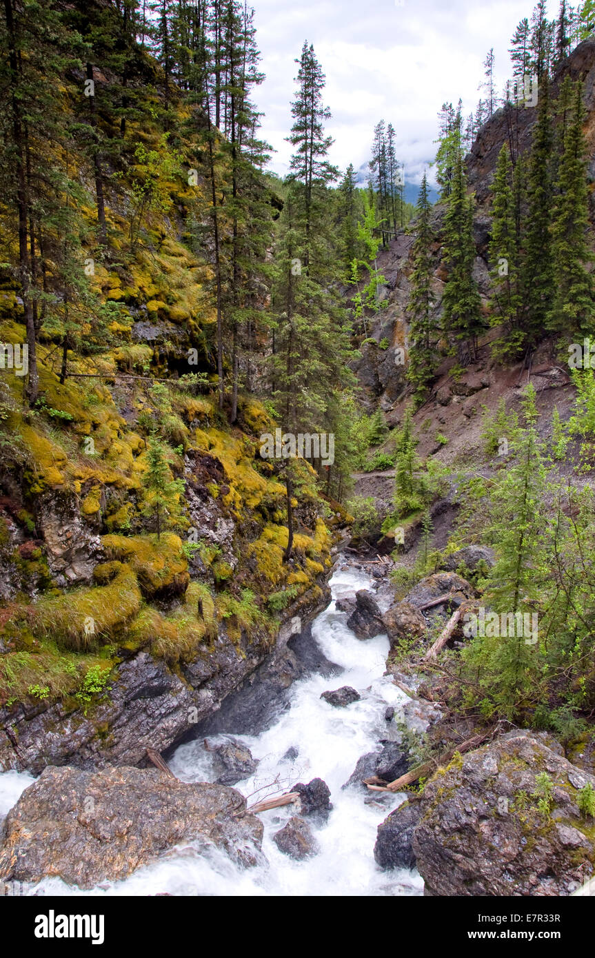 Sundance Canyon, Cave Basin Trail, Banff, Alberta, Canada Stock Photo Alamy