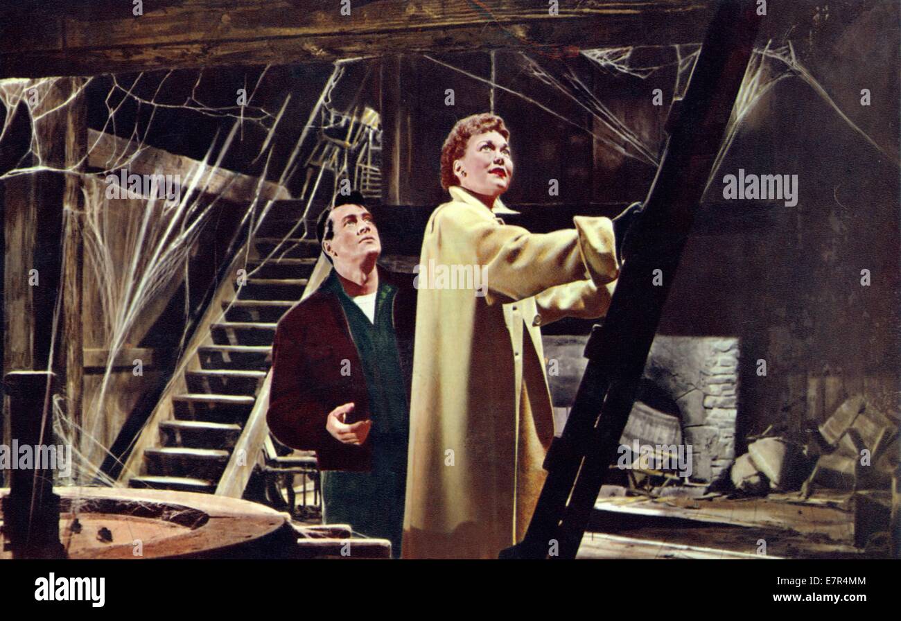 All That Heaven Allows Year 1955 USA Director Douglas Sirk Jane Wyman, Rock Hudson Stock