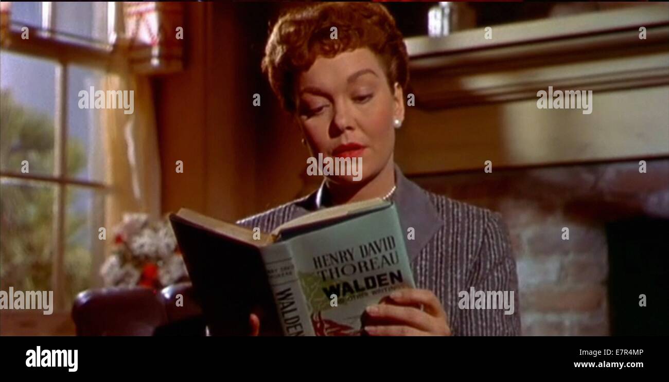 douglas sirk all that heaven allows